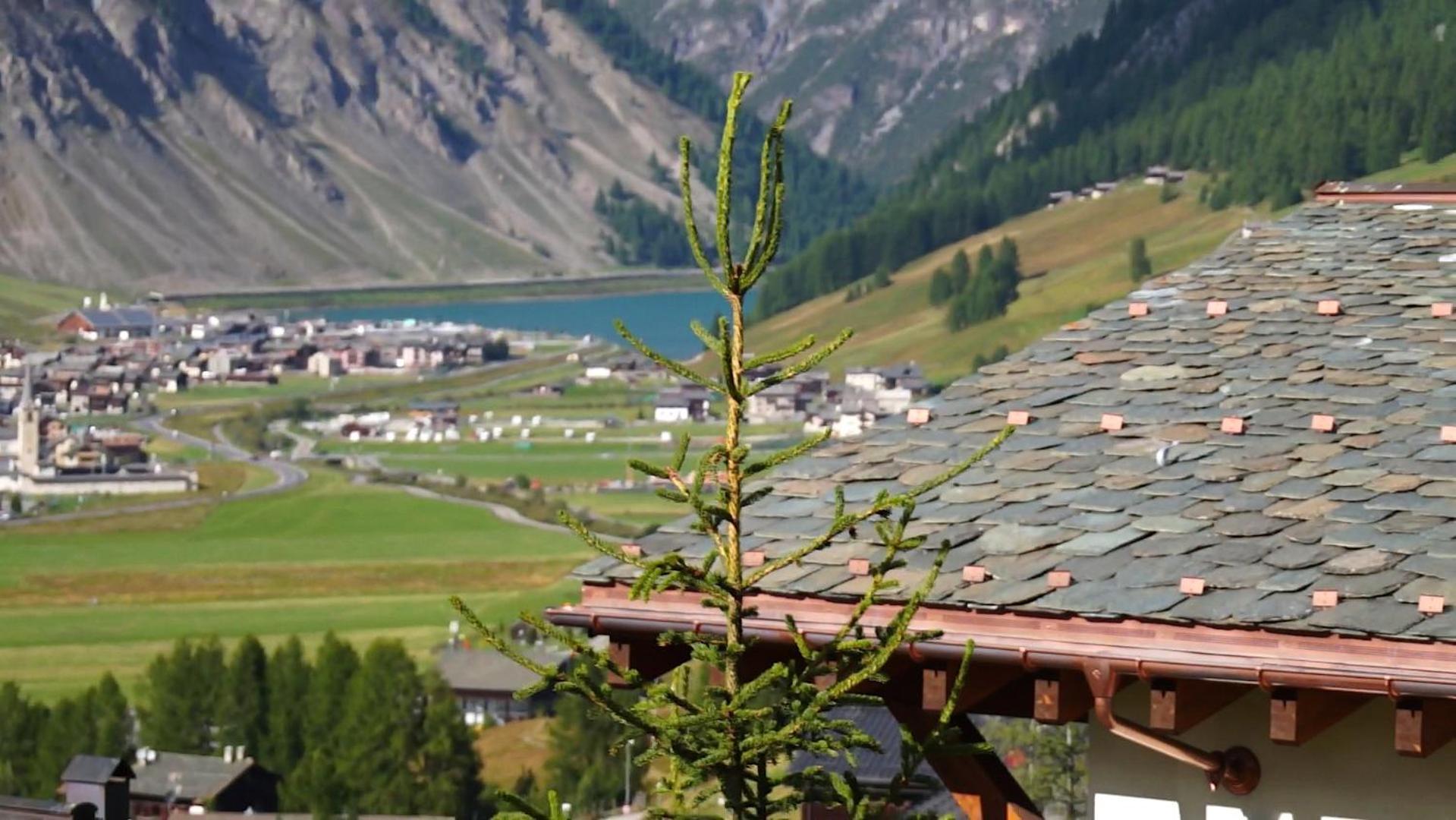 Chalet Elena Livigno Extérieur photo